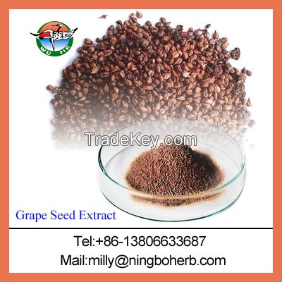 grape seed extract