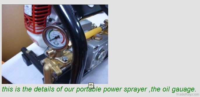 Portable power sprayer