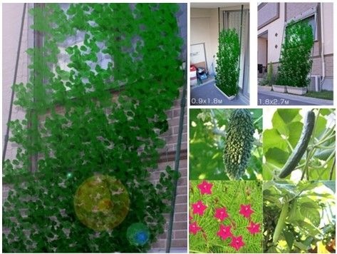 New Tough Recycling Environmental Garden Planting Net Mesh Trellis with Different Sizes