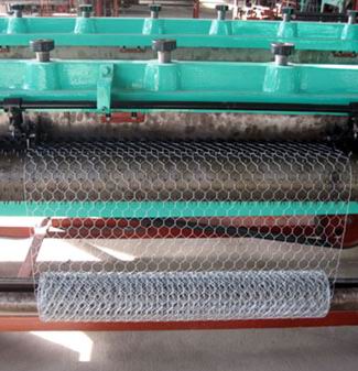 Hexagonal wire netting