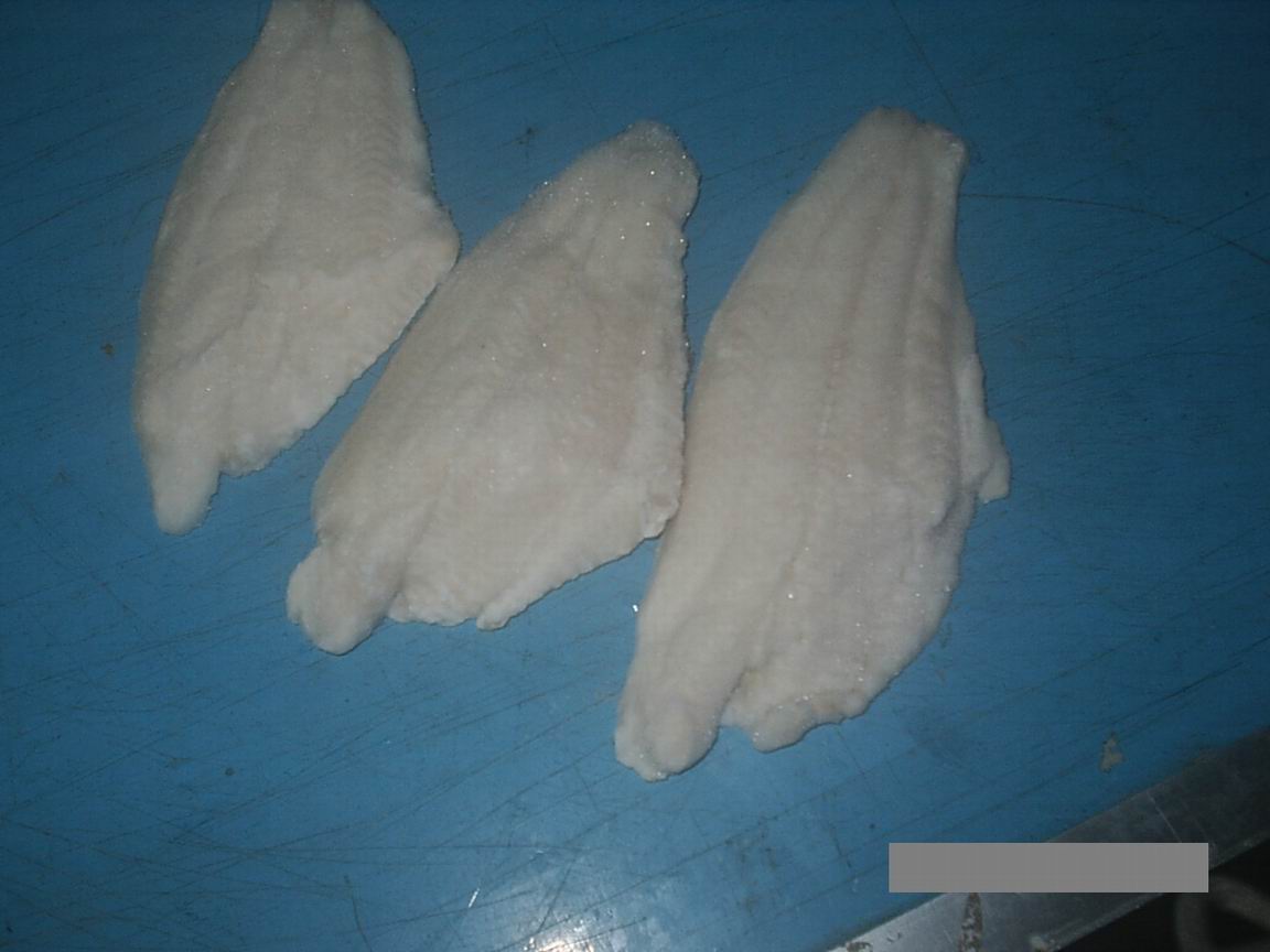 channel catfish fillet