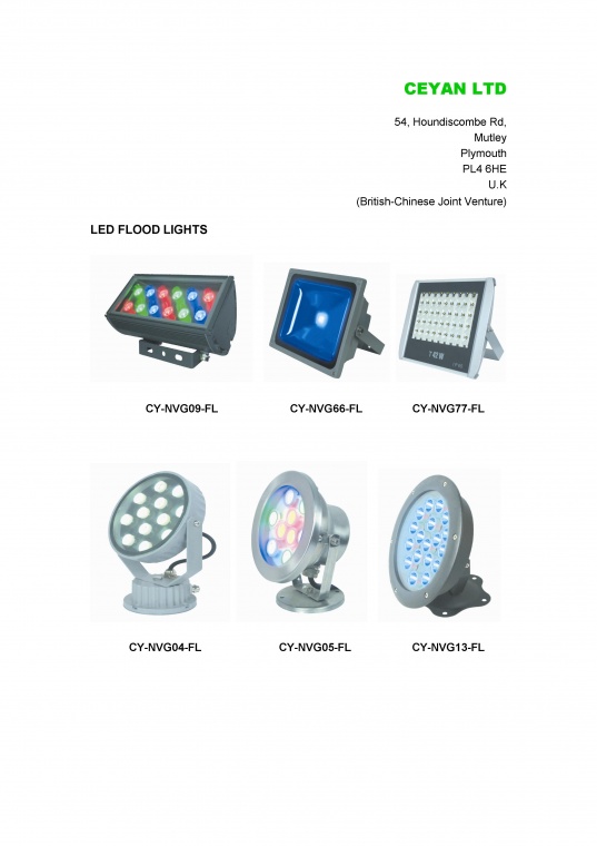 LED Flood Light