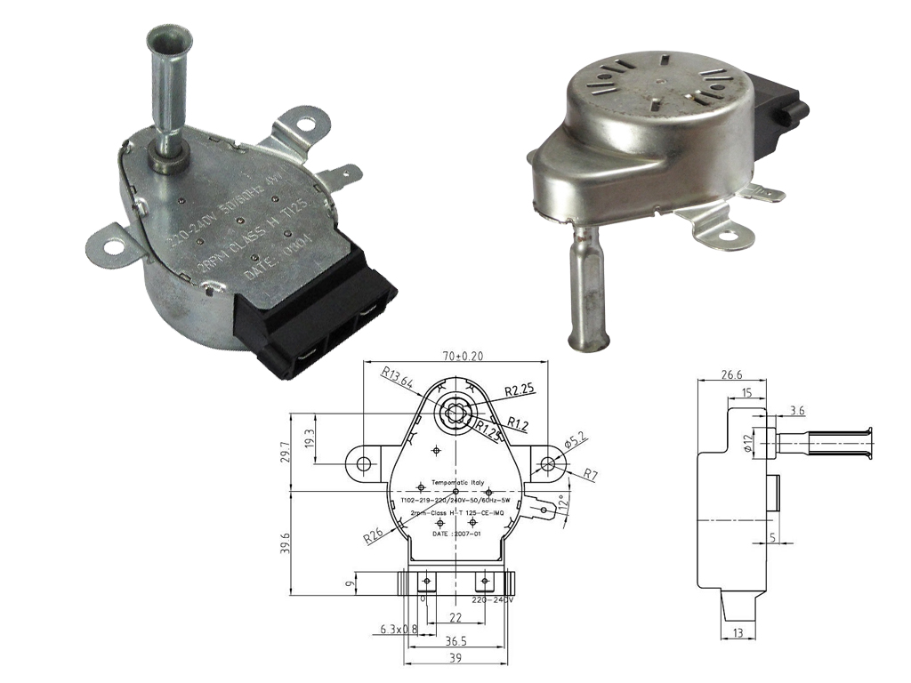 Reversible Synchronous Motor