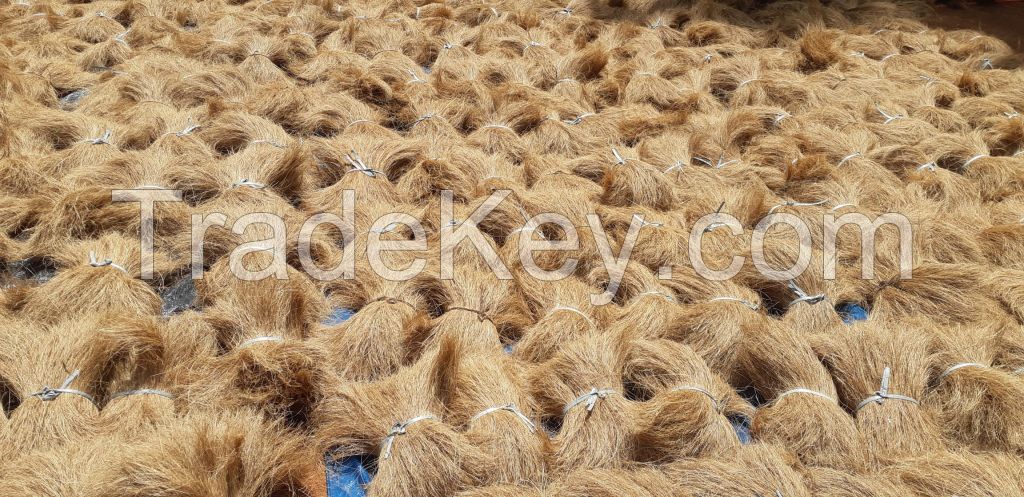 Coir Bristle Fiber