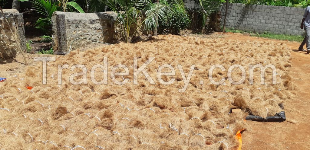 Coir Bristle Fiber