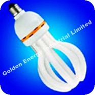 energy saving bulb