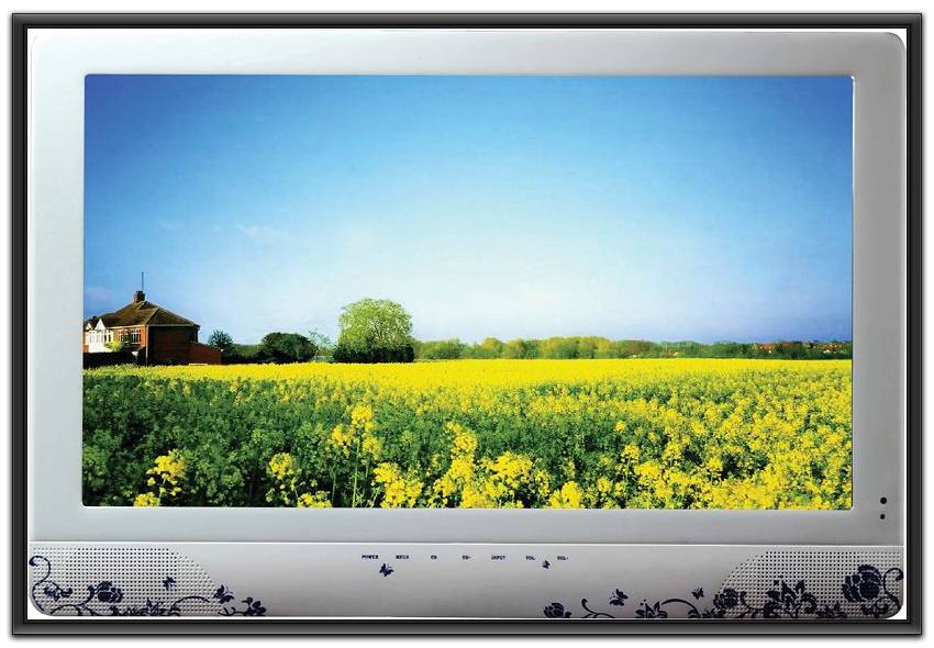 21''waterproof LCD TV