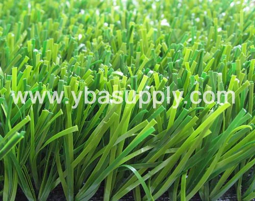 soccer grass