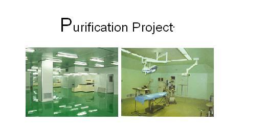 purification project