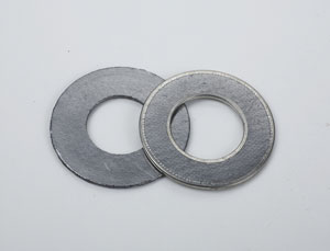 reinforced graphite gasket