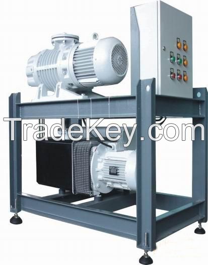 Double Vacuum Pump Systems