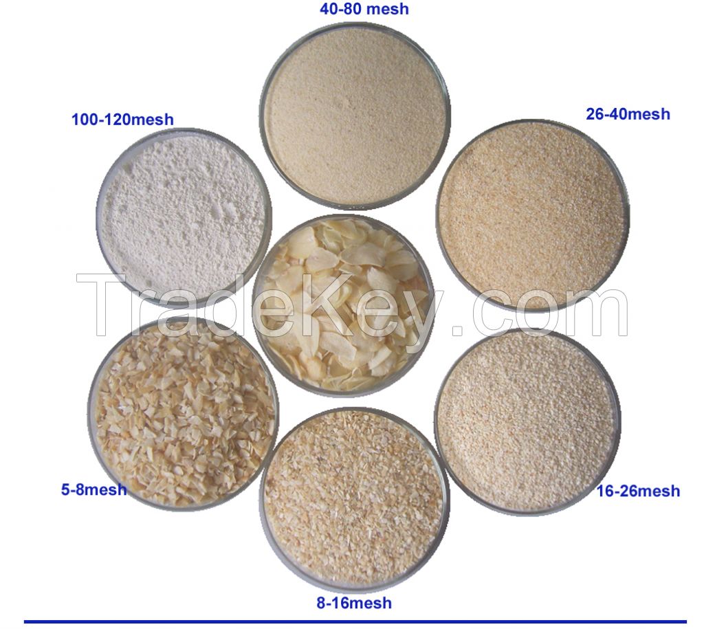 drhydrated galic powder