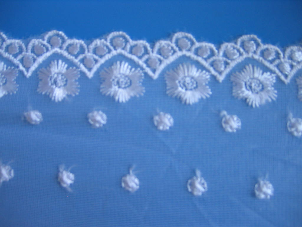 Meshy Cloth Lace