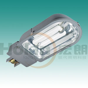 Street light for induction lamp