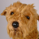 Airedale Terrier