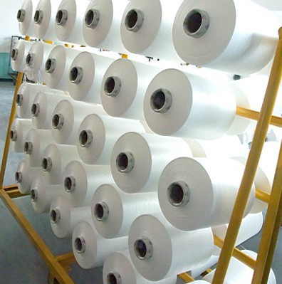 Polyester Yarn