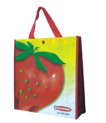 non woven bag, shopping bag, gift bag