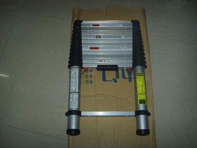 Telescopic Ladder