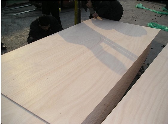 Construction Plywood