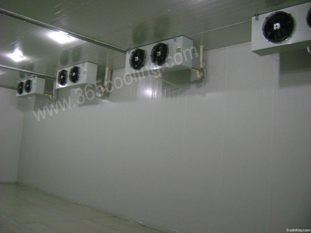 Fruit vegetable cold store room -5~+15'C with humidifier