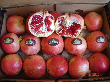 Pomegranate