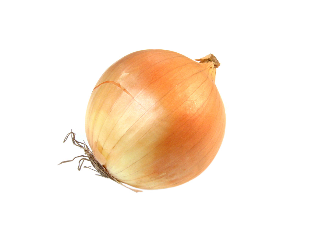 Onion