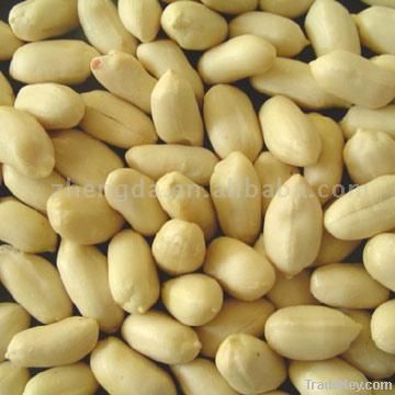 Blanched Peanuts