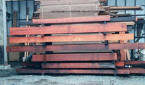 Padauk Logs