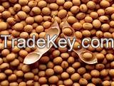 soybeans