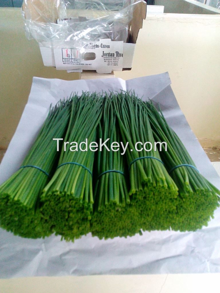 Fresh Herbs and Chives