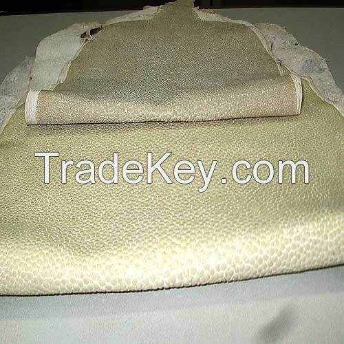 Stingray Leather