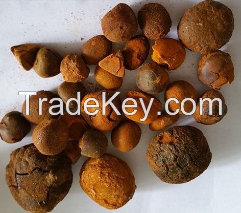 Ox gallstones, ox cow gallstones, Cow Gallstones, natural dried Ox,Cow, Cattle , Bile Gallstone, Bezoar, Calculas Bovis, Niu Huang