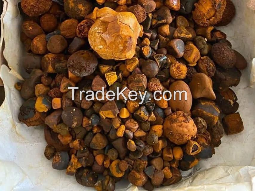 Ox gallstones, ox cow gallstones, Cow Gallstones, natural dried Ox,Cow, Cattle , Bile Gallstone, Bezoar, Calculas Bovis, Niu Huang