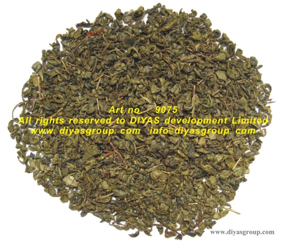 GREEN TEA 9375, 9075, 9575, 9675  ECT/Thé Vert de Chine