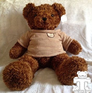 Plush Toy Teddy Bear