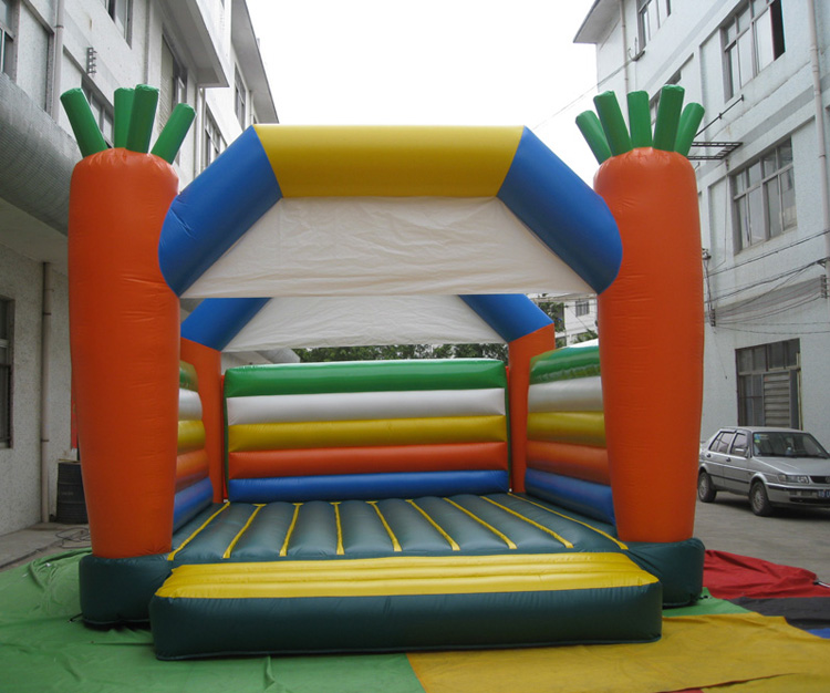 Inflatable Bouncer