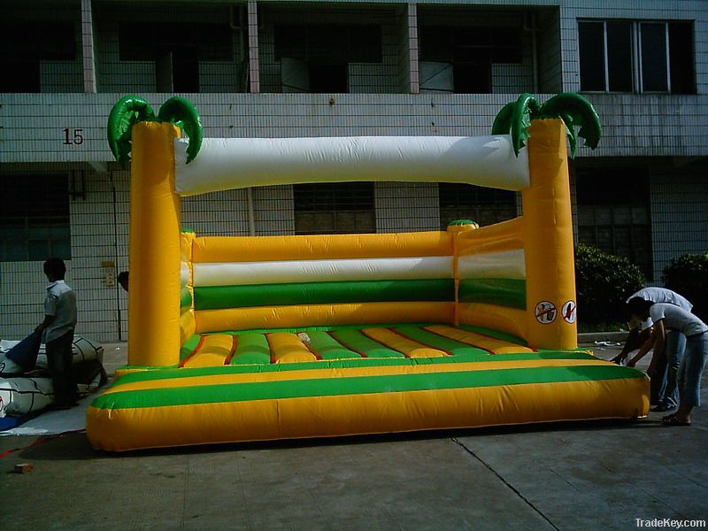 Inflatable Castle Bouncer