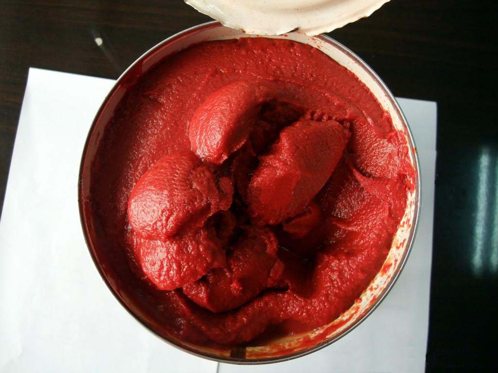 Can tomato paste