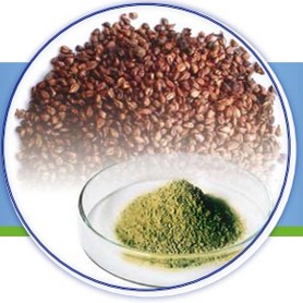 grape seed extract