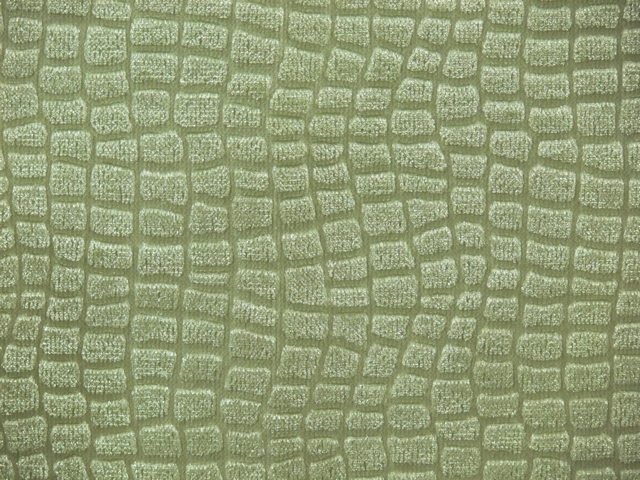 Embossed Velvet Fabric