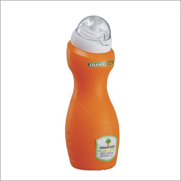 sport bottle