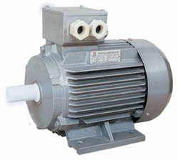 Three-Phase Induction Motor