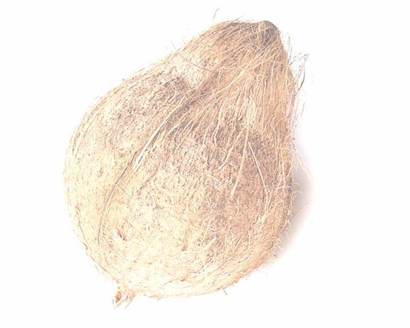 COCONUT