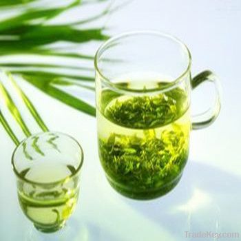 Green Tea Extract Tea Polyphenols