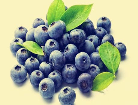 Natural Blueberry Extract Proanthocyanidins