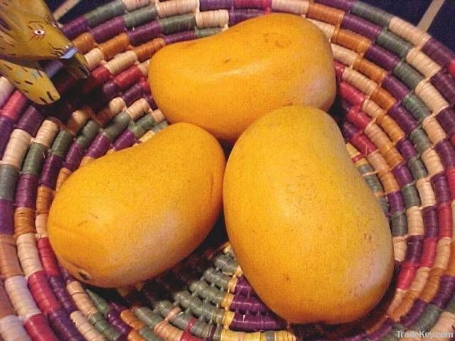 Manilla Mangoes