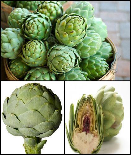 Fresh Artichoke