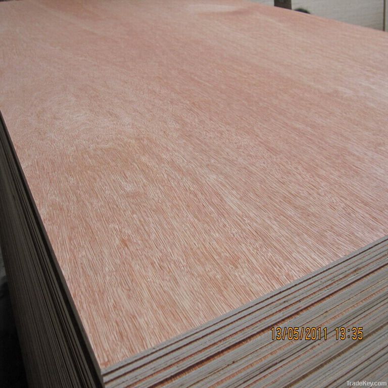 Bintangor plywood