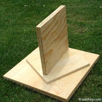 Pine Plywood