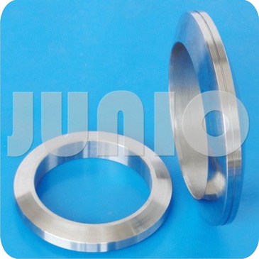 Lens Ring Joint Gasket